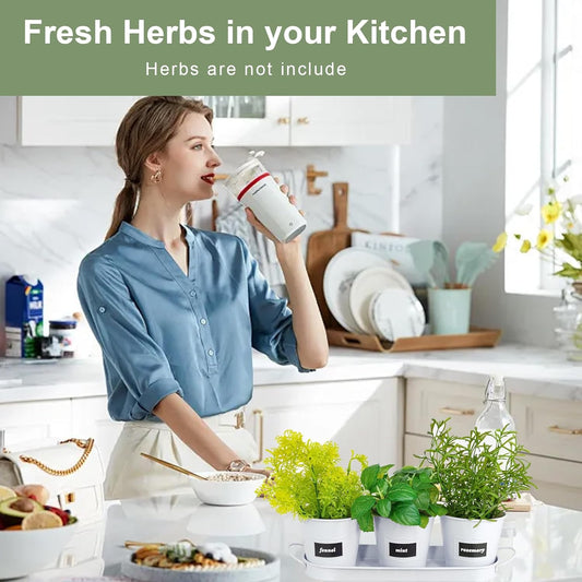 4" Herb Garden Planter Kit, Indoor Herb Planters with Tray, Set of 3 Metal Windowsill Pots for Flower Plants with Drainage Hole, Customizable Labels & Marker Pen, White