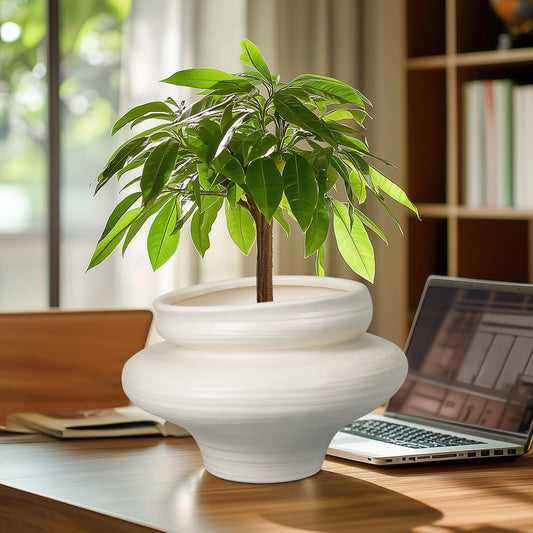 Ceramic Plant Pots 11 Inch - Bonsai Large Planters for Indoor Plants with Drainage Hole, White Planter for Home Garden Patio Office, Gift for Women Men