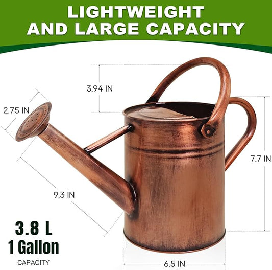 Metal Watering Can with Removable Spout, Galvanized Watering Can, Perfect for Indoor Use and for Outdoor Use (1 Gallaon, Metal)