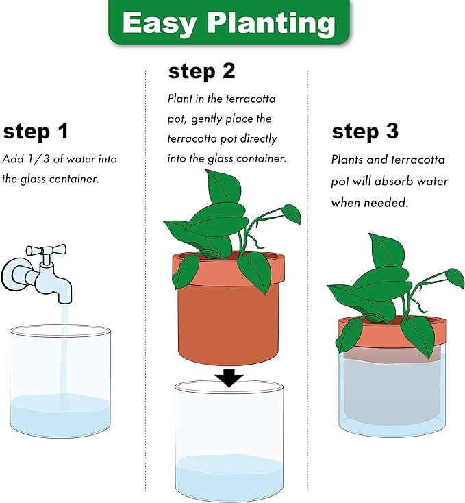 Phoenix Vine 4 Inch 6 Inch Self Watering Planter Pots, Terracotta Clay Pots with Glass Reservoir for Indoor Plants, Herbs, Flowers, 52-A-G-46