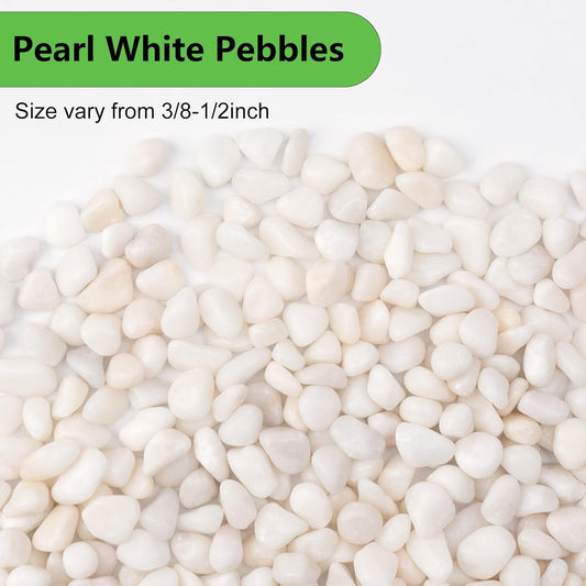 10 lbs White Garden Pebbles for Plants, 3/8" Small Plant Rocks for Pots Indoor, Decorative Pea Gravel for Succulents, Bamboo, Terrarium, Landscaping, Garden