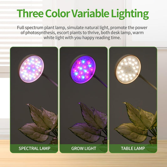 Indoor Planter Grow Light, Soil & Hydroponic Dual Mode, Automatic Timer for 3H/9H/12H, Full Spectrum 9 Dimmable Levels, Plants Germination Kit for 4 Pods, Ideal for Herbs, Flowers & Vegetables (Green)