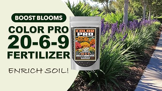 Fertilizer Commercial Grade | Color Pro 20-6-9 | 2 Pounds | Custom Professional Mix Blend | Controlled Release for Annuals & Groundcovers | 6 Month Nutrition | Balanced NPK Formula with Micronutrients