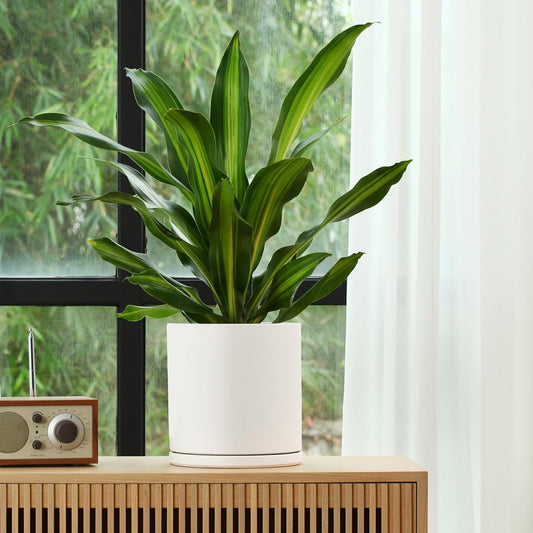 Kazeila Plant Pots Ceramic Planter for Indoor Outdoor Plants Flowers 10 Inch Matte White Large Cylinder Flower Pot with Saucer and Drainage Hole,Glazed Finish Interior and Exterior