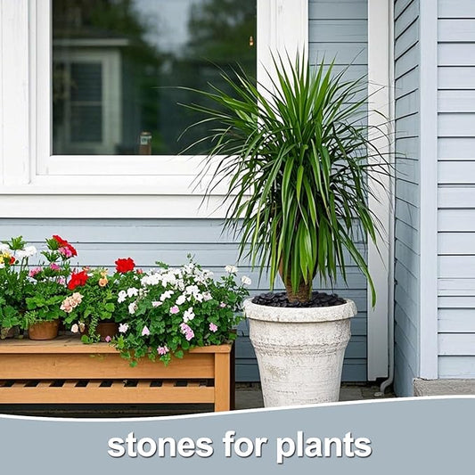 Calofulston 10LB Black Rock, Small River Stones Pebbles for Plants, Vases, Landscaping, Highly Polished Decorative Rocks, 1-1 3/4 Inch