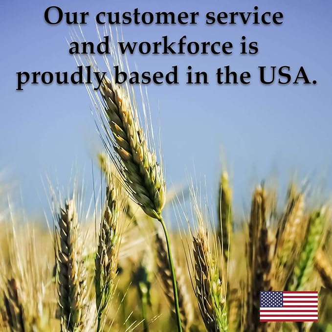 4 Oz - Handy Pantry 5 Part Salad Sprout Mix - Organic Non-GMO Mixed Seeds - Organic Broccoli Sprouting Seeds, Radish Sprout Seeds, Alfalfa Sprout Seeds, Lentil Seeds, and Mung Bean Seeds for Sprouting