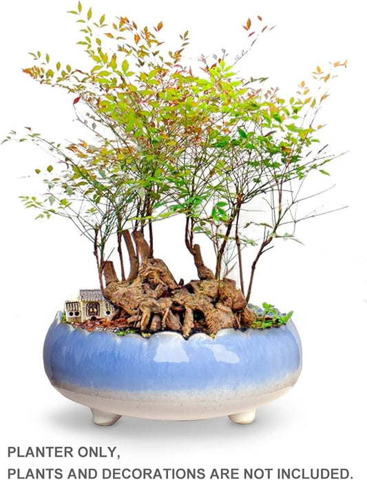 Dahlia 8.3'' Inch Large/Shallow/Wide Drip Glazed Ceramic Planter/Succulent Pot/Plant Pot, Blue