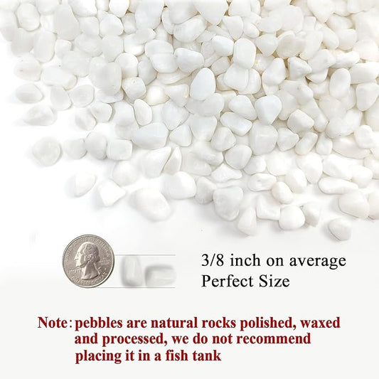 2 Pounds White Pebbles for Indoor Plants, 3/8 Inch Polished White Rocks, Decorative River Rocks for Potted Plants Vase Cactus Bird Bath and Outdoor Garden Landscaping