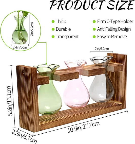 Plant Propagation Station Plant Terrarium Unique Birthday Gifts for Women Home Office Decor Planter with Wooden Stand - 3 Bulb Glass Vase
