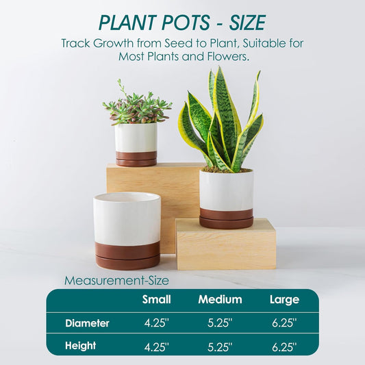 vancasso Ceramic Plant Pots, 3 Piece Planters for Indoor Plants, 4.25+5.25+6.25 Inch Flower Pots with Drainage, Plant Pots Indoor for Succulent, Pothos, Snake Plant and Money Tree, Etc (Khaki)