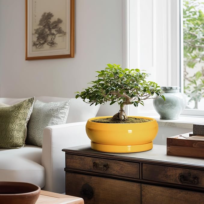 Succulent Pots 10 Inch - Ceramic Bonsai Pots with Drainage Hole and Tray, Shallow Plant Pot Indoor Outdoor, Modern Bonsai Tree Pot, Round Planter Bowl, Home Decor, Housewarming Gift, Yellow