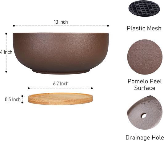 SQOWL 10 Inch Large Terracotta Planter Pot,Clay Succulent Bonsai Planter with Drainage Hole and Bamboo Saucer for Indoor Plants