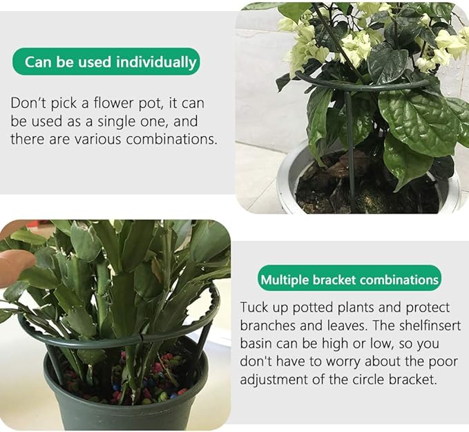 10 Pack Plant Support Plant Stakes Metal Half Round Search Support Ring Small Plastic Cage Holder Short Stem Flower Pot Climbing Trellis for House Flower Vegetable Indoor Leafy(5.7 x 9.8inch)