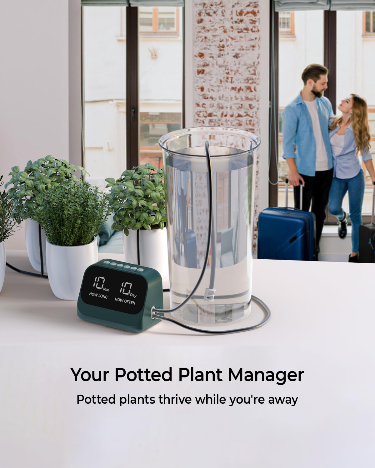 Automatic Watering System for Potted Plants, Plant Waterer, DIY Drip Irrigation Kit with Smart Timer, Waterproof LED Display & Large Capacity Battery, Precise Distribution of Water (Green)