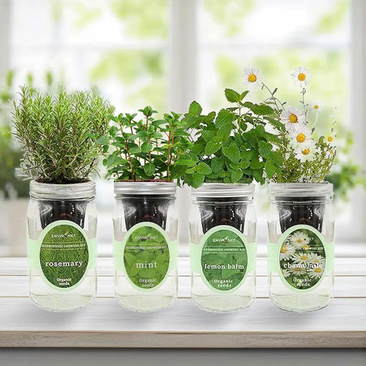 Hydroponic Mason Jar Organic Herbal Tea Seed Starter Kits - Herbal Tea Garden Growing Kits, Gardening Gift, Grow Your Own Herbal Teas Indoor (Chamomile, Mint, Lemon Balm, Rosemary)