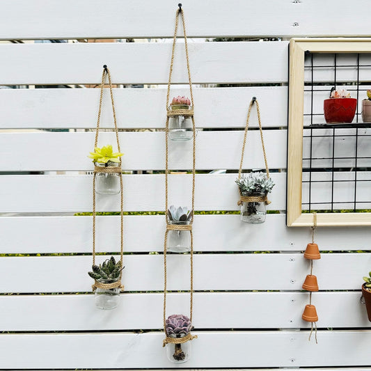 3pcs Glass Flower Vase for Hydroponic Planter Terrarium,Wall Hanging Propagation Station for Plant Cutting Home Office Living Room Garden Decor (Round)