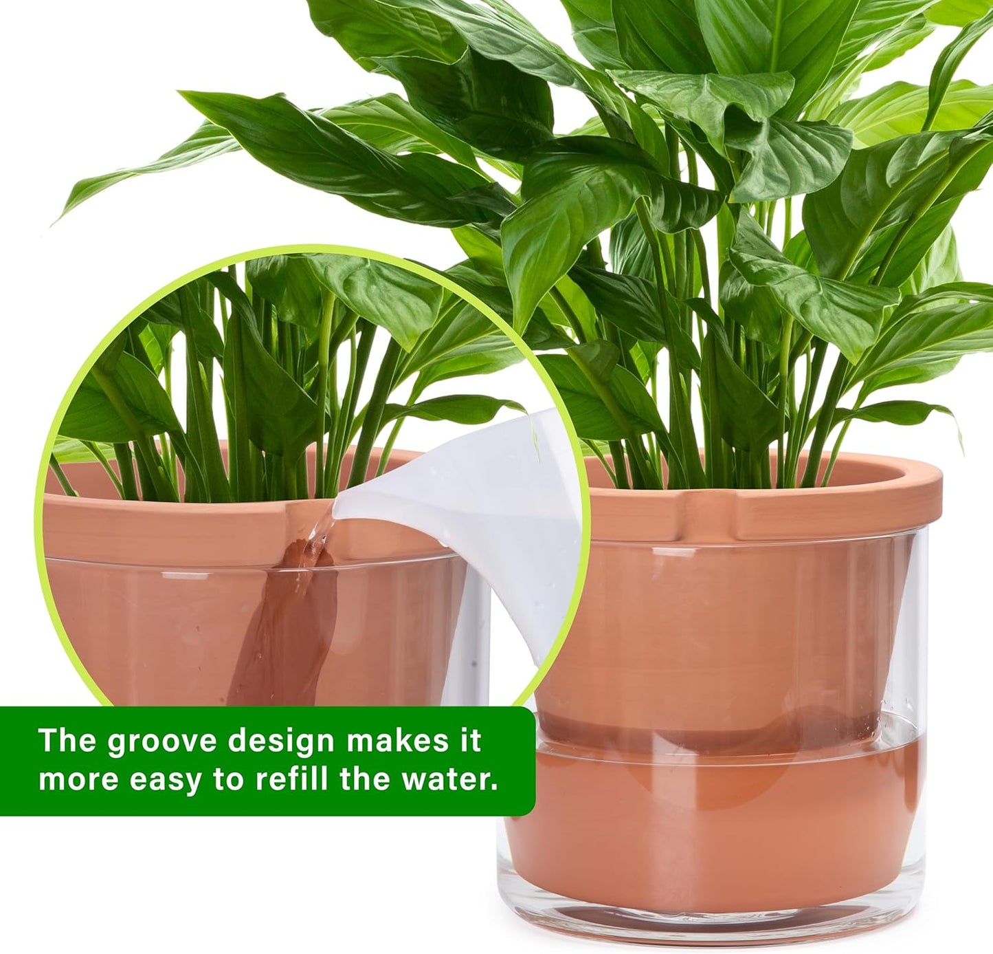 D'vine Dev 10 Inch Design Self Watering Pot for Indoor Plants, Terracotta Planter with Cylinder Glass Cup, 37-X-D-1