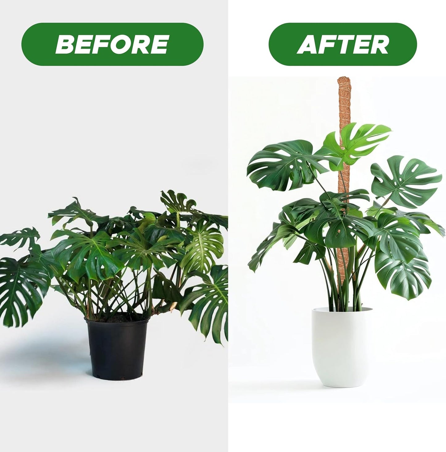 EcoNour 28" 2 Pack Moss Pole | Moss Pole Monstera Plant Support | Plant Sticks for Indoor Climbing Plants | Support for Potted Plants Like Pothos, Philodendrons, and More