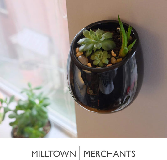 Milltown Merchants Succulent Wall Planter - Black Ceramic Mounted Vase - Plant Pot for Living Wall (1 Pack/Modern/Black)