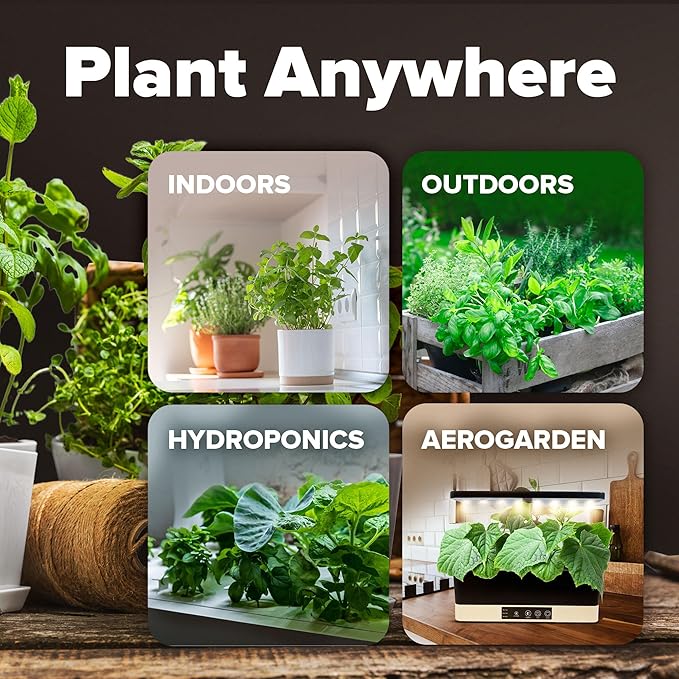 HOME GROWN 12 Fall Vegetable Seeds 6,000+ 𝗨𝗦𝗔 Heirloom 𝗡𝗢𝗡-𝗚𝗠𝗢 Seeds for Fall & Winter Planting – Beets, Broccoli, Cabbage, Kale, Onion, Pumpkin, Turnip, Lettuce, Peas & More for Home Garden