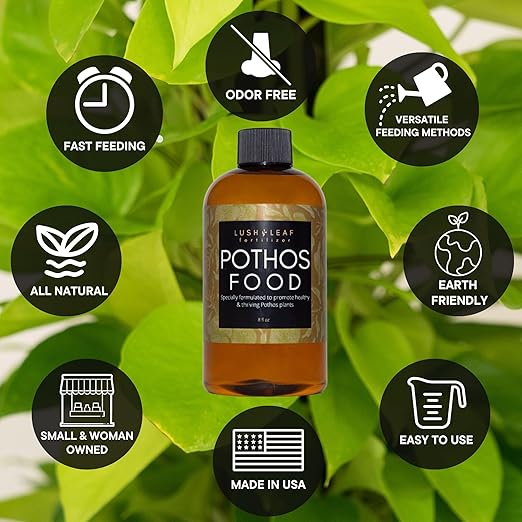 Lush Leaf | Plant Food (Pothos)