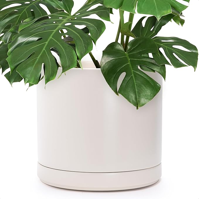 D'vine Dev 14 Inch Ceramic Planter Pot with Drainage Hole and Saucer, Indoor Cylinder Round Planter Pot, Oatmeal, 94-O-G-8
