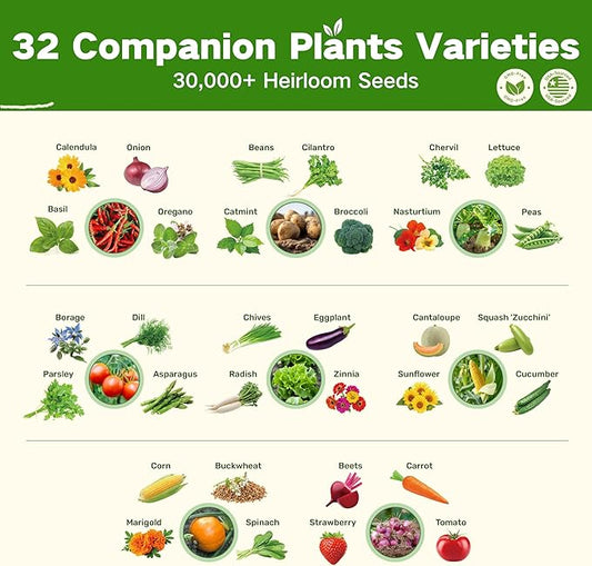 Lush&Dew Companion Plants Heirloom Seed Bank, Gardening Gifts for Women & Men, 32 Varieties 30,000+ Non-GMO Vegetable Seeds for Planting in Garden Bed Greenhouse, Survival Seed Kit for Food Supply