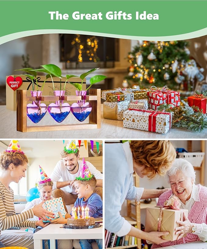 Nacome Plant Terrarium Propagation Stations: Birthday Gifts for Plant Lovers Women Mom Wife - Wooden Stand Tabletop Planter 3 Bulb Glass Vase Heart Shaped for Hydroponics Indoor Home(Purple)