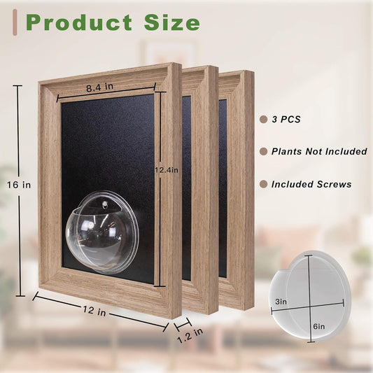 Walnut Wooden Frame Wall Hanging Planter for Hydroponic Plants,12'' x16''inch Wall Vase with Oblate-Shaped Acrylic Propagation Station,Bathroom, Office, or Living Room Decor, Set of 3