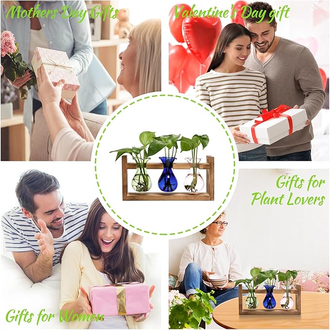 Plant Propagation Station Plant Terrarium Unique Birthday Gifts for Women Home Office Decor Planter with Wooden Stand - 3 Bulb Glass Vase