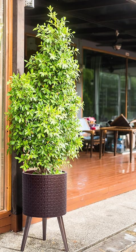 D'vine Dev 12 Inch Modern Geometric Tile Patterned Sleek Planter Pot with Stand, Indoor Outdoor Decorative Plant Holder, Espresso, 88-Z-C-6