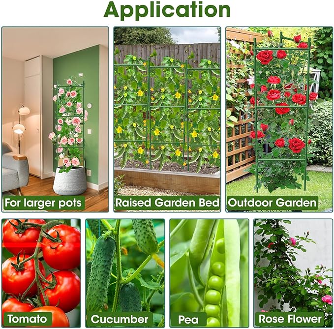 6 Pack Tomato Cage,Tomato Cage for Raised Garden Bed, 48'' Tall Tomato TrellisTriangle or Square Cages for Garden,Pots, Plant Cages & Supports(Green, Extra Bold )