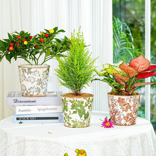 Sungmor Vintage Ceramic Plant Pots, Set of 3 Pretty Ice Cracked Glaze Ceramic Flower Pots, 5.5in. Herb Planters with Drainage Hole, Tuscan Planters for Indoor Outdoor Plants, Home Garden Decor Pot