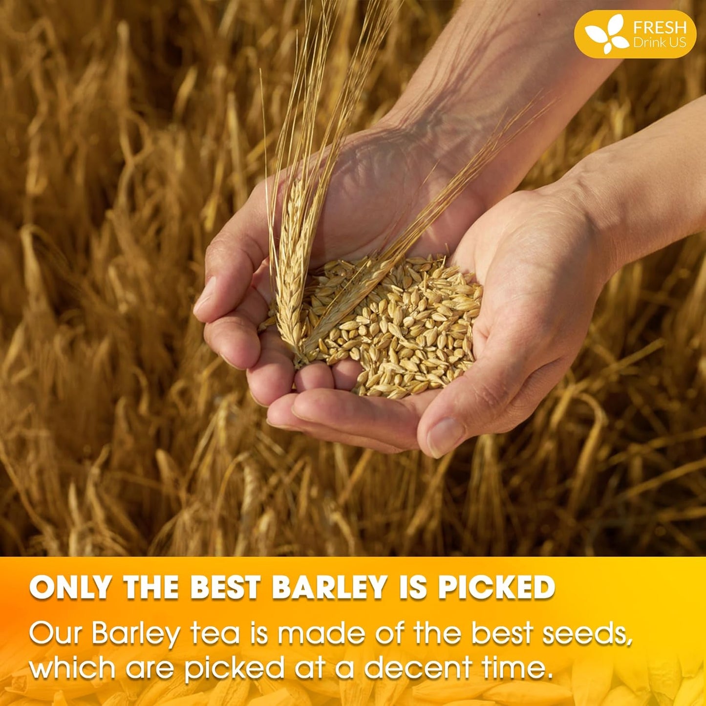 FreshDrinkUS Premium 120 Barley Tea Bags, 100% Natural & Pure. Loose Barley Herbal Tea. Made with Natural Material Tea Bags. No Sugar, No Caffeine, No Gluten, Vegan