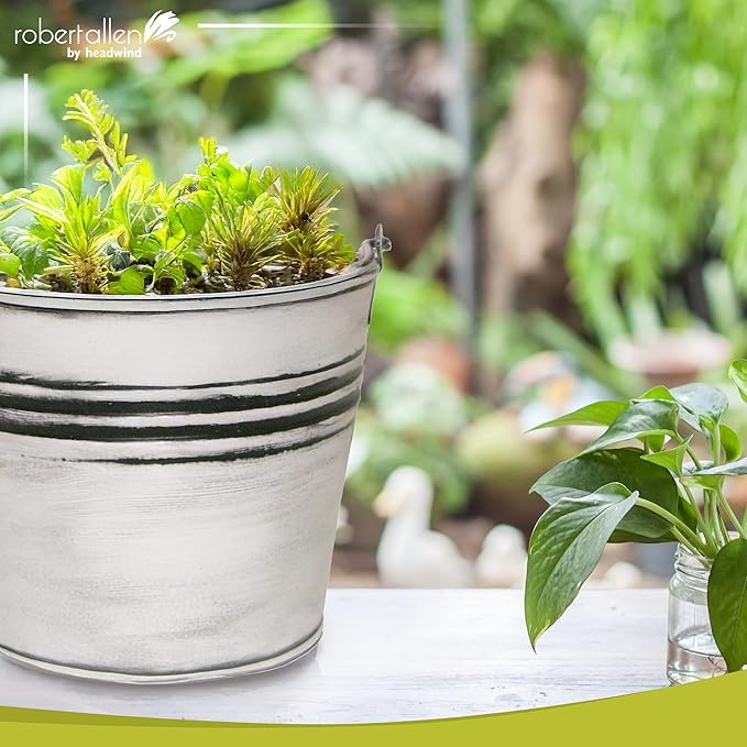 Headwind Vintage Collection - 6 Inch Rustic White Banded Planter with Handles – Galvanized Bucket Planter - Decorative Small Planters for Indoor Plants & Outdoor Use by Robert Allen