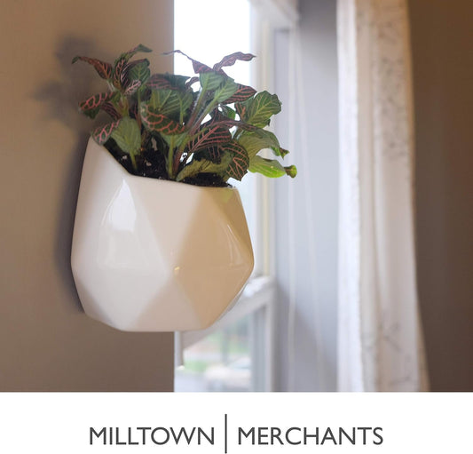 Milltown Merchants Succulent Wall Planter - Black Ceramic Wall Mounted Vase for Living Wall (Geometric/White)