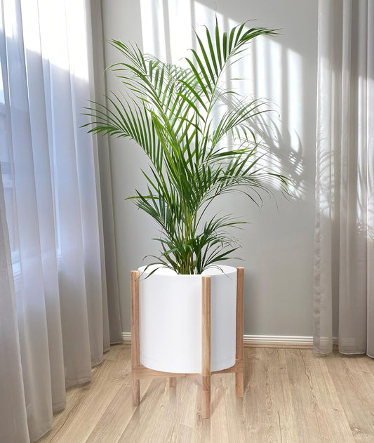 D'vine Dev Planter Pot with Stand - 14 Inch Plastic Cylinder Flower Pot with Wood Planter Holder for Indoor, Matte White Pot + Natural Stand, 55-C-S-1