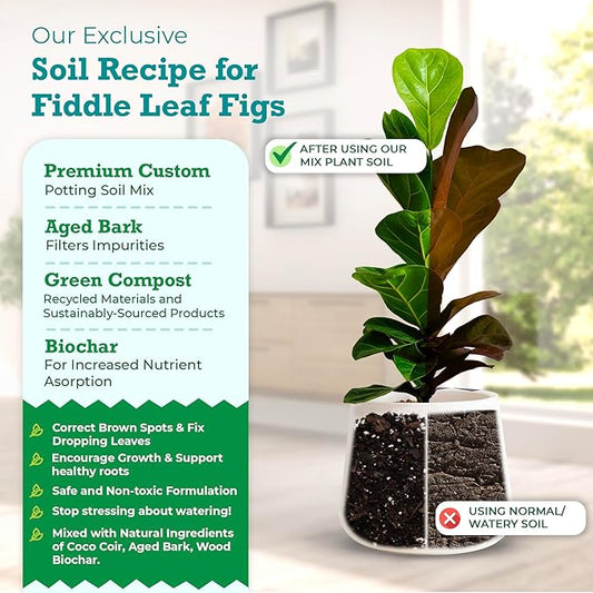 100% Organic Fiddle Leaf Fig Soil – Optimally-Draining Potting Mix for Healthy Roots, Fewer Brown Spots & Faster Growth | Enriched with Biochar & Bark | Made in USA | Large 7.5L Bag