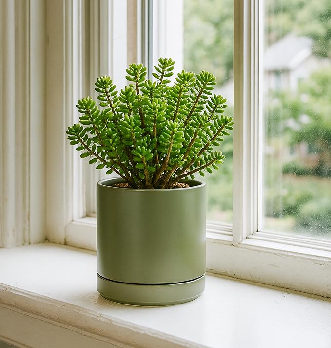 D'vine Dev Set of 2 Plants Pots, 6.5 Inch Ceramic Planter Pot for Plants with Drainage Hole and Saucer, Olive, 94-V-C-J