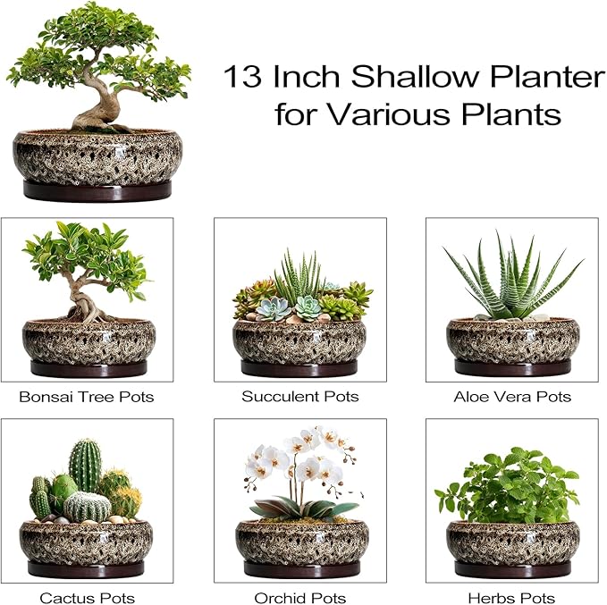 Bonsai Planter 13 Inch - Large Ceramic Succulent Planters, Shallow Plant Pot Indoor with Drainage Hole and Tray, Bonsai Pot, Round Bowl Planter Outdoor, House Decor, Housewarming Gift, White