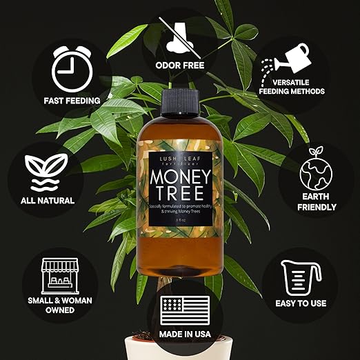 Lush Leaf | Plant Food (Money Tree)