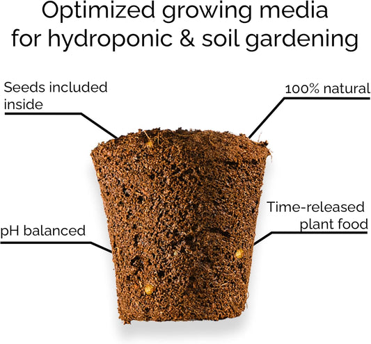 Marigold - Complete Seed Pod Plugs with Plant Food - 10 Pods for Hydroponic Gardens, Click and Grow, Lettuce Grow and Outdoor Gardens