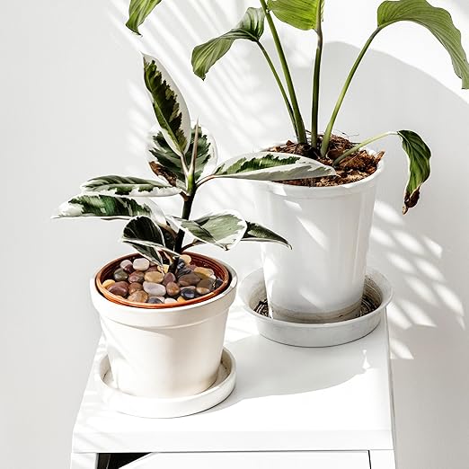 River Rocks 20lbs, 1-2Inch Mixed Color Natural Pebbles for Plants, High Polished Decorative Stones for Aquarium Vase Filler Fish Tank Landscaping Garden