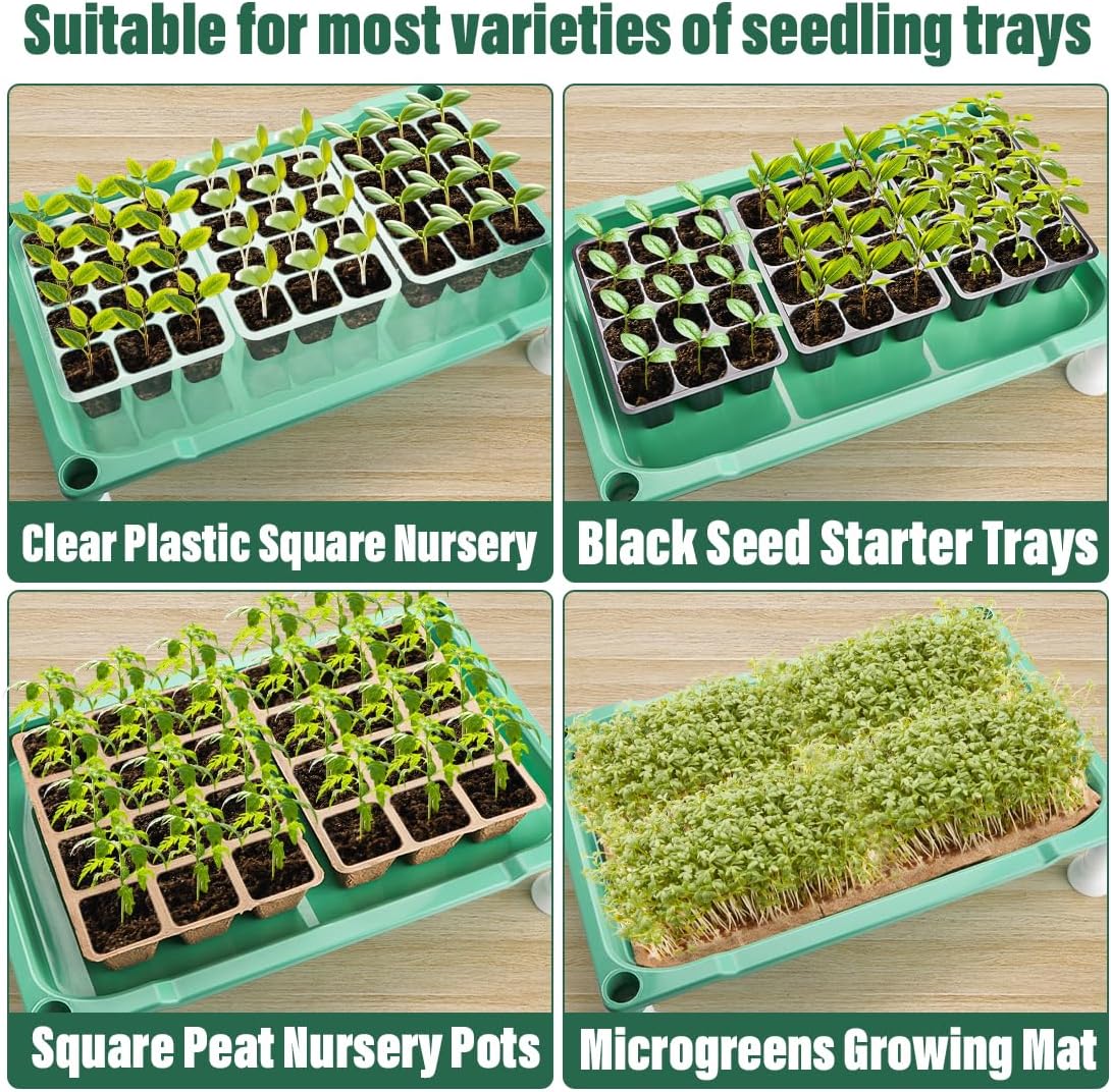 Tabletop 5-Tier Seed Starting Kit Germination Tray - Plant Stand with Grow Lights Full Spectrum Sunlike Plant Light for Indoor Plants, Greenhouse, Succulents, Seedlings Gardening
