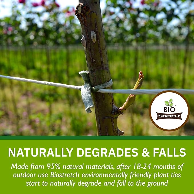 Soft Garden Plant Ties for Indoor & Outdoor Plants - Strong & Stretchy Cut-to-Length Plant Tape for Climbing Plants, Tomato Vines & Home Gardening (656 ft / 200M)