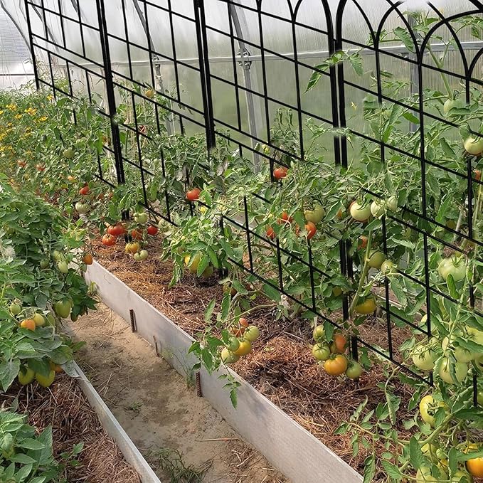 LZRS 4 Pack 71x20in Rustic Iron Arch Decoration Garden Trellis with Black Metal Coating – Perfect for Supporting Climbing Plants Outdoor, Roses, Vines, Flowers, and Vegetables.