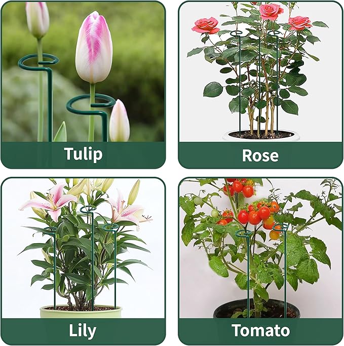 36” Tall Plant Stakes, 6 Pack Plant Support Stakes,6mm Heavy-Duty Metal Garden Stakes, Flower Stakes for Lilies, Dahlias, Gladiolus, Sunflowers, Tomato, Clematis