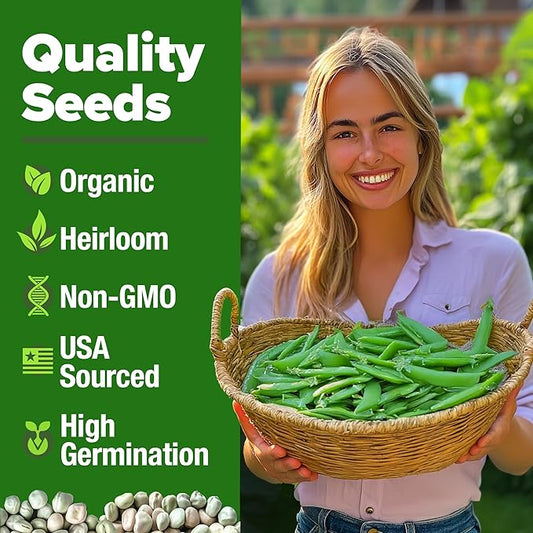 HOME GROWN - Snap Pea Seeds for Planting - Organic, Heirloom Cascadia Variety - 100 Non-GMO Vegetable Seeds - Cool Season Crop for Containers - Sweet Flavor, Fast Germination (Pisum sativum)