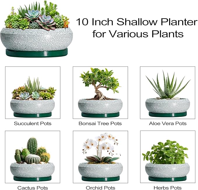 Succulent Planters 10 Inch - Ceramic Bonsai Pots with Drainage Hole and Saucer, Large Succulent Pots Indoor, Shallow Planter, Round Bowl Planter Outdoor, Patio Decor, Plant Lover Gift, Green