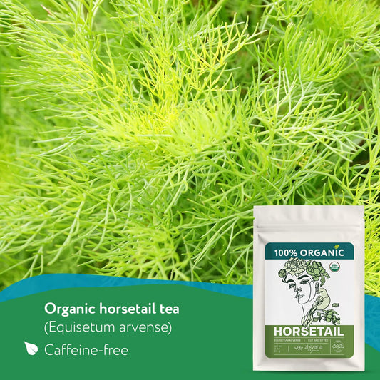 Organic Horsetail (4 oz.) (Equisetum arvense) – Loose Dried Herb – Edible Grade for Tea, Infusions & Herbal Blends - Cola de Caballo Hierba
